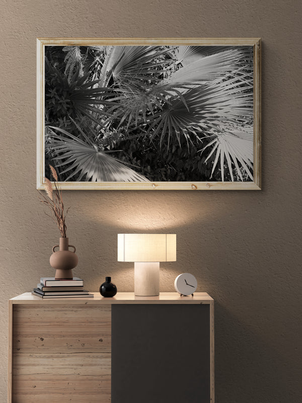 Hawaiian Plant - Photo Poster