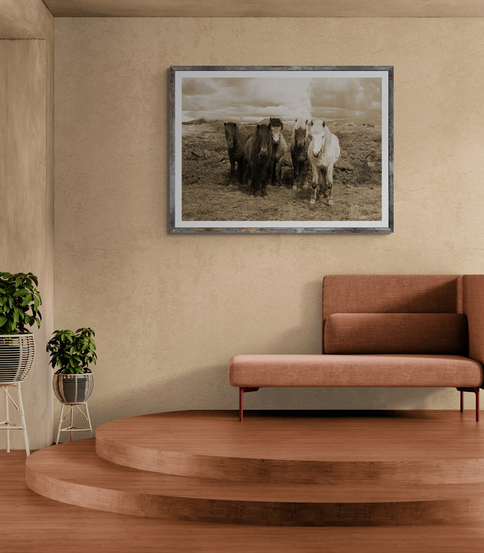 Iceland Horses - Canvas