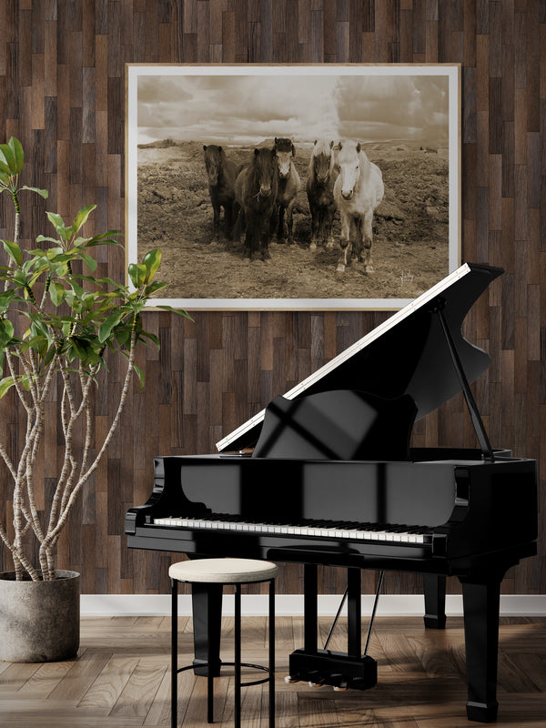 Iceland Horses - Canvas